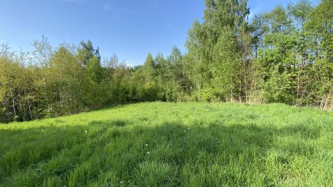 Sprzedaż Działka Michałowice, pow. krakowski