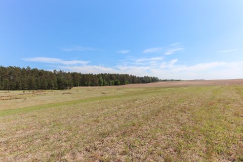 Sprzedaż Działka Spore, pow. szczecinecki