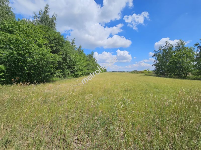 Działka na sprzedaż, Piaseczyński, Lesznowola, Władysławów