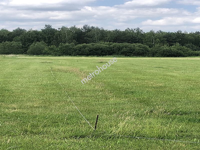 Działka na sprzedaż, Piotrkowski, Kaleń