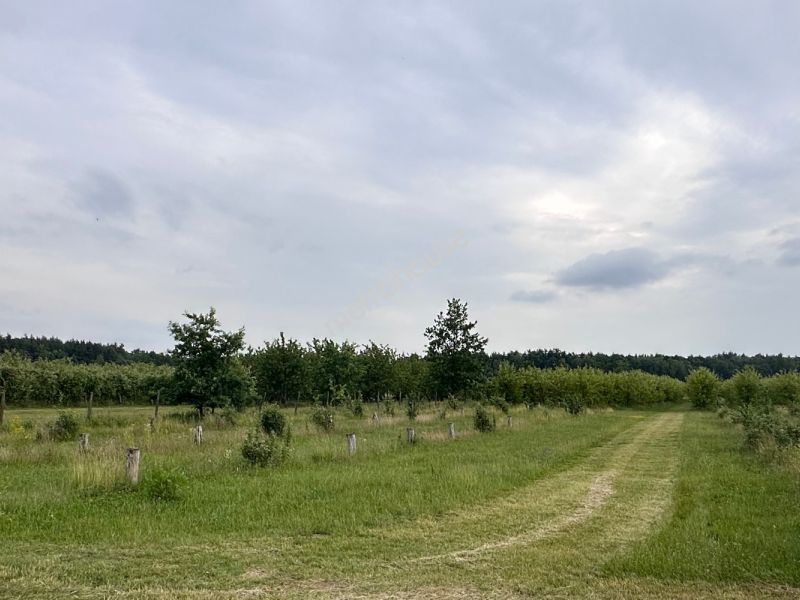 Działka na sprzedaż, Piaseczyński, Potycz