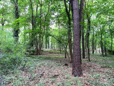 Sprzedaż Działka Konstancin-Jeziorna, pow. piaseczyński