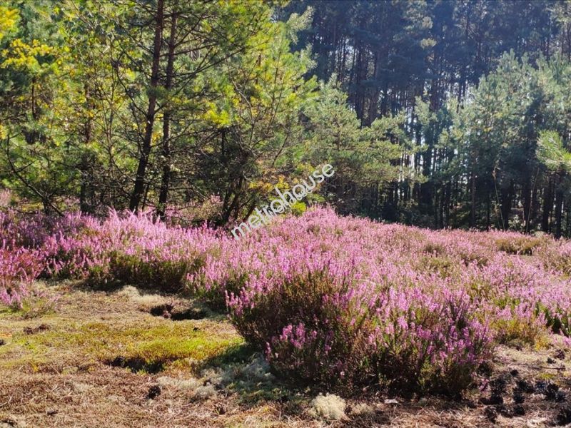 Działka na sprzedaż, Wołomiński, Helenów