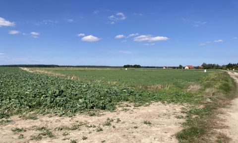 Sprzedaż Działka Sokołowice, pow. oleśnicki