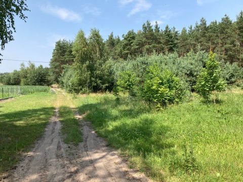 Sprzedaż Działka Gutarzewo, pow. płoński