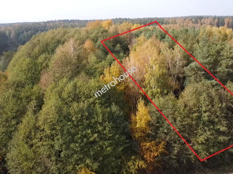 Działka na sprzedaż, łaski, Pelagia