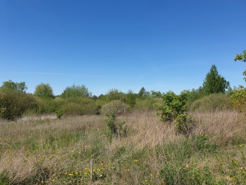Sprzedaż Działka Jarczechowo, pow. lipnowski