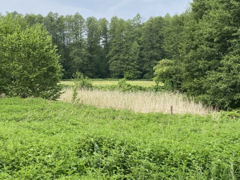 Sprzedaż Działka Nowa Wieś, pow. golubsko-dobrzyński