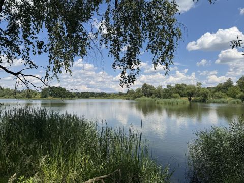 Sprzedaż Dom Akacjowa, Mojcza, pow. kielecki
