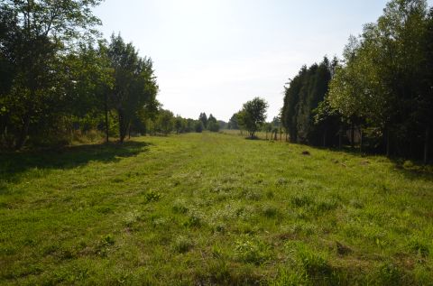 Sprzedaż Działka Tomaszów Mazowiecki