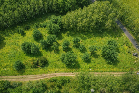Sprzedaż Działka Suliszew, pow. skierniewicki