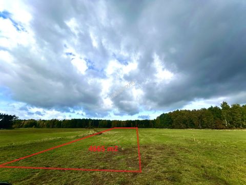 Sprzedaż Działka Barycz, pow. pabianicki