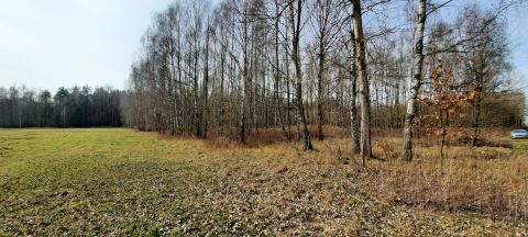 Sprzedaż Działka Dąbrówka-Niwka, pow. siedlecki
