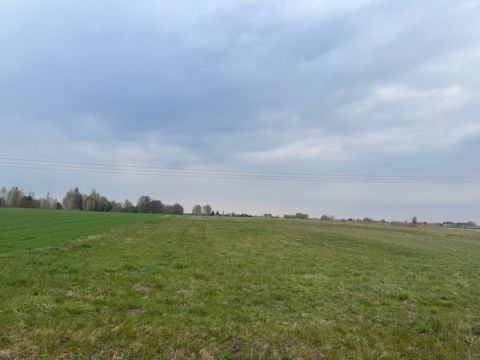 Sprzedaż Działka Kampinos, pow. warszawski zachodni
