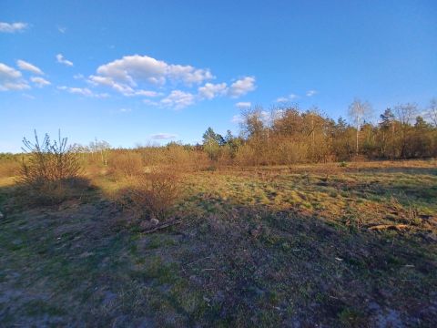Sprzedaż Działka Ślepa, Warszawa
