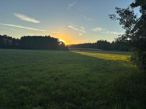 Sprzedaż Działka Pokrzywna, pow. rawski